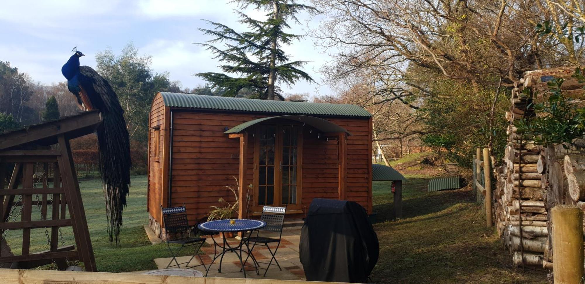 Sika Hut Villa Wareham Exterior photo